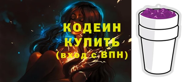 ECSTASY Пересвет