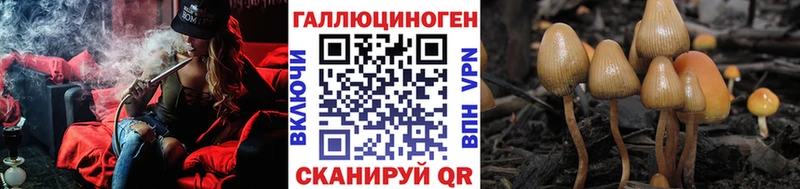blacksprut маркетплейс  Фатеж  Псилоцибиновые грибы мицелий 