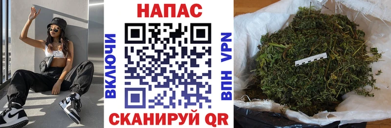 Бошки марихуана конопля omg tor это телеграм как найти закладки Фатеж